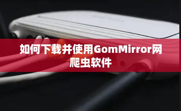 如何下载并使用GomMirror网爬虫软件