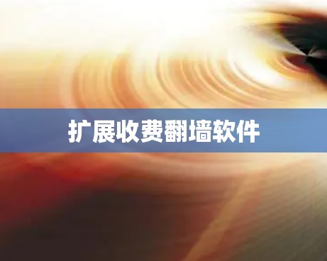 扩展收费<strong>翻墙</strong>软件