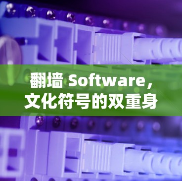 翻墙 Software，文化符号的双重身份