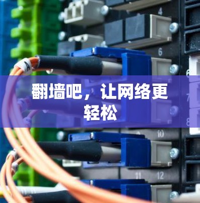 翻墙吧，让网络更轻松