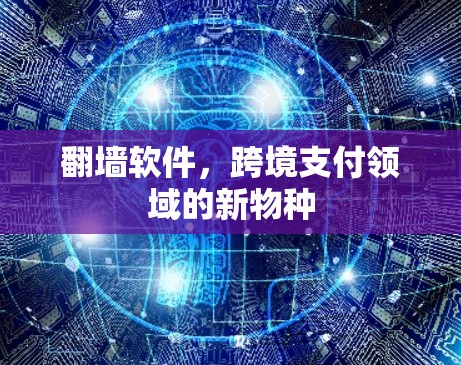 <strong>翻墙</strong>软件，跨境支付领域的新物种