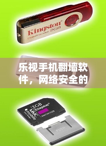 乐视手机<strong>翻墙</strong>软件，网络安全的高科技守护
