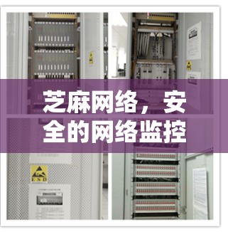 芝麻网络，安全的网络监控与<strong>翻墙</strong>解决方案