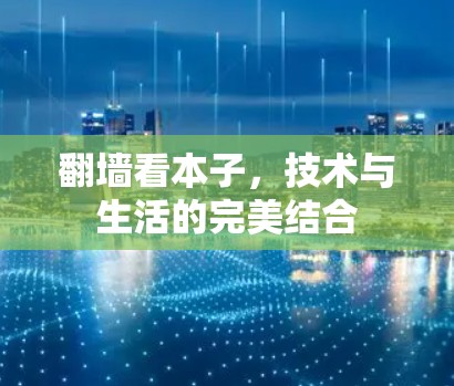 <strong>翻墙</strong>看本子，技术与生活的完美结合