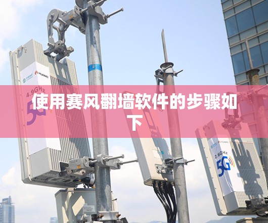 使用赛风<strong>翻墙</strong>软件的步骤如下