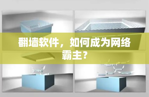 <strong>翻墙</strong>软件，如何成为网络霸主？