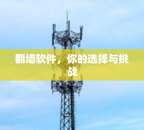 翻墙软件，你的选择与挑战