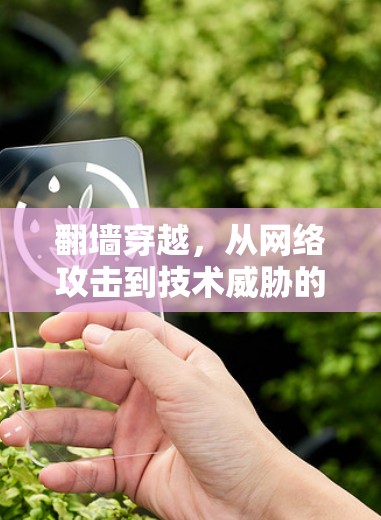<strong>翻墙</strong>穿越，从网络攻击到技术威胁的探索