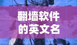 <strong>翻墙</strong>软件的英文名称可以有不同的写法，但通常会根据其主要功能和适用场景进行调整。以下是一些常见的英文名称