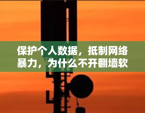 保护个人数据，抵制网络暴力，为什么不开<strong>翻墙</strong>软件，意味着你的通信安全被侵犯