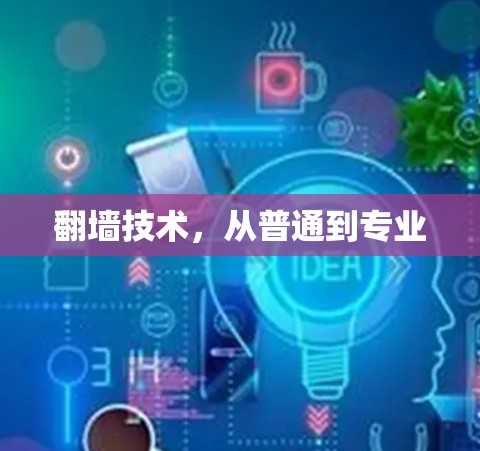 <strong>翻墙</strong>技术，从普通到专业