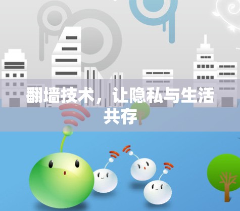 <strong>翻墙</strong>技术，让隐私与生活共存