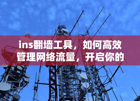 ins翻墙工具，如何高效管理网络流量，开启你的翻墙之旅？