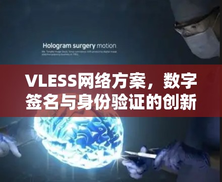 VLESS网络方案,数字签名与身份验证的创新解决方案 VLESS网络方案,数字签名与身份验证的创新解决方案