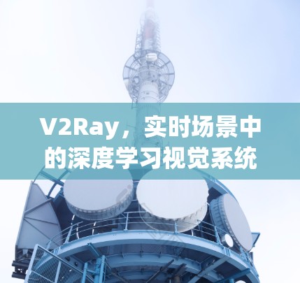 V2Ray，实时场景中的深度学习视觉系统