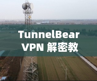 TunnelBear VPN 解密教程
