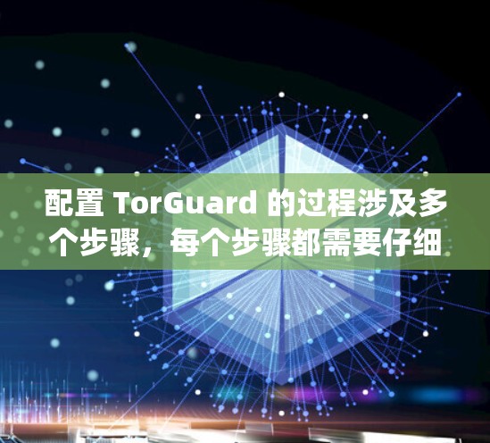 配置 TorGuard 的过程涉及多个步骤，每个步骤都需要仔细遵循 Torque 的方法。以下是一个详细的配置步骤指南