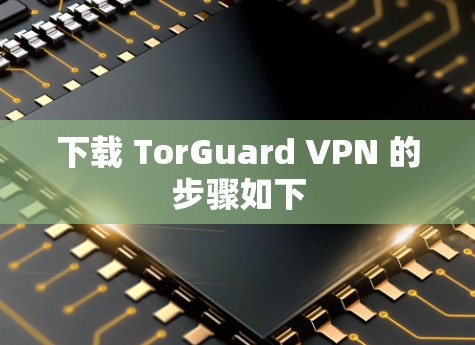 下载 TorGuard VPN 的步骤如下 下载 TorGuard VPN 的步骤如下