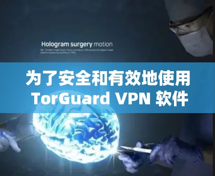 为了安全和有效地使用 TorGuard VPN 软件，您可以按照以下步骤操作