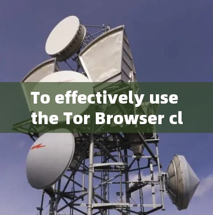 To effectively use the Tor Browser client,follow these organized steps and considerations:
