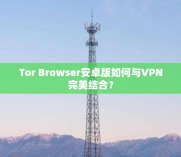 Tor Browser安卓版如何与VPN完美结合？