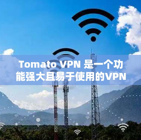 Tomato VPN 是一个功能强大且易于使用的VPN工具，适合在多个网络上使用或特定地区使用的情况。以下是使用Tomato VPN的步骤和注意事项