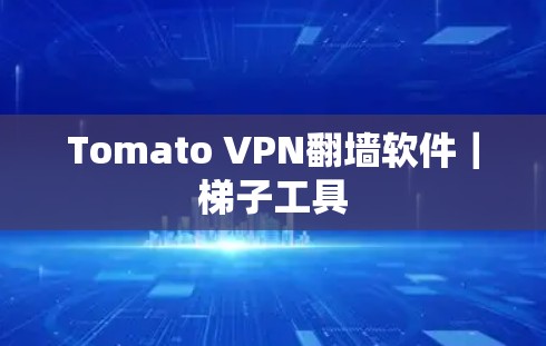Tomato VPN<strong>翻墙</strong>软件｜梯子工具