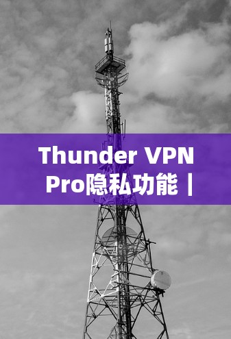 Thunder VPN Pro隐私功能｜安全分析
