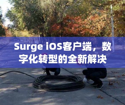 Surge iOS客户端,数字化转型的全新解决方案 Surge iOS客户端,数字化转型的全新解决方案