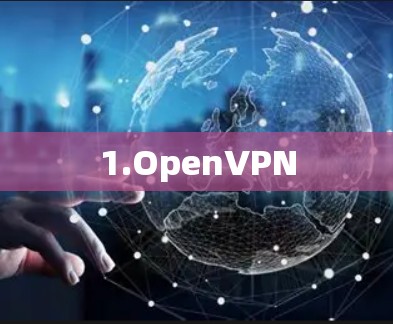 1.OpenVPN 1.OpenVPN