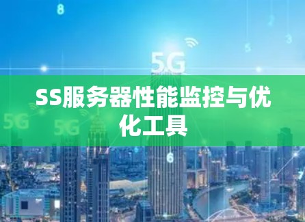 SS服务器性能监控与优化工具