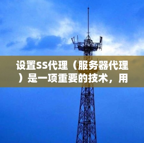 设置SS代理(服务器代理)是一项重要的技术,用于管理用户和网站的访问。以下是一个系统化的设置技巧指南,涵盖从基础到高级的步骤 设置SS代理(服务器代理)是一项重要的技术,用于管理用户和网站的访问。以下是一个系统化的设置技巧指南,涵盖从基础到高级的步骤
