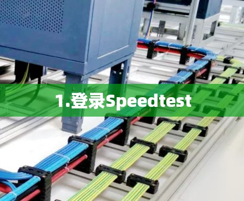 1.登录Speedtest 1.登录Speedtest