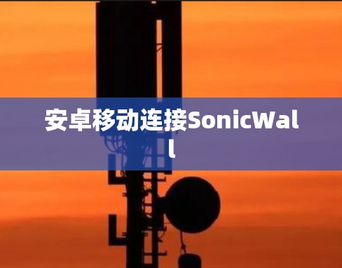 安卓移动连接SonicWall 安卓移动连接SonicWall