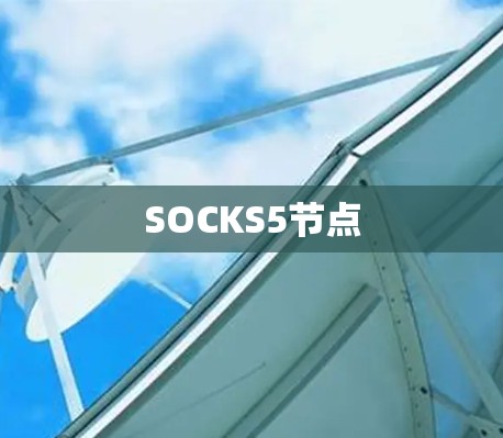 SOCKS5节点 SOCKS5节点
