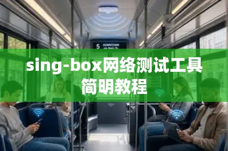sing-box网络测试工具简明教程 sing-box网络测试工具简明教程