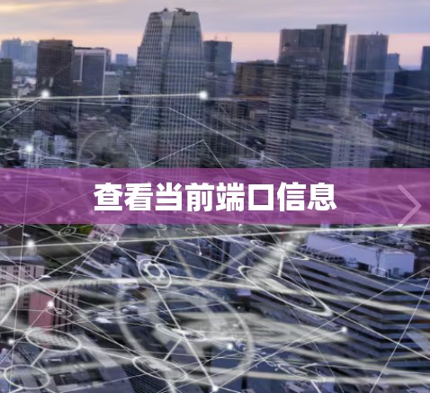 查看当前端口信息