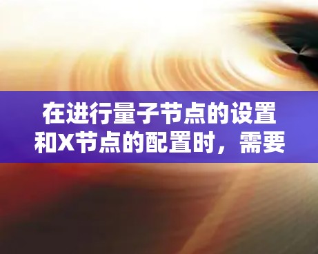 在进行量子节点的设置和X节点的配置时，需要仔细理解每个参数的作用和相互关系。以下是一个清晰的指南，帮助您顺利完成设置
