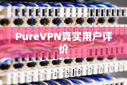 PureVPN真实用户评价
