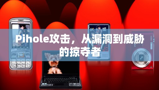 Pihole攻击,从漏洞到威胁的掠夺者 Pihole攻击,从漏洞到威胁的掠夺者