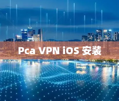 Pca VPN iOS 安装