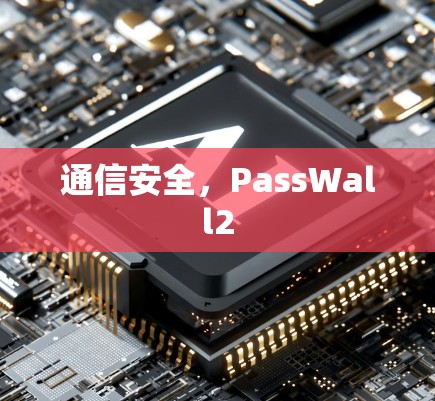 通信安全,PassWall2 通信安全,PassWall2