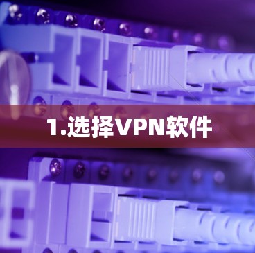 1.选择VPN软件