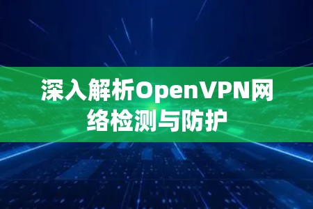 深入解析OpenVPN网络检测与防护 深入解析OpenVPN网络检测与防护