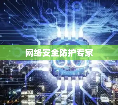 网络安全防护专家