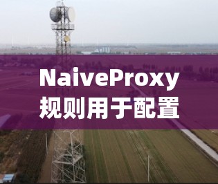 NaiveProxy规则用于配置HTTP POST请求中的form-data参数,允许在配置文件中设置参数的类型和限制。以下是详细的步骤和示例 NaiveProxy规则用于配置HTTP POST请求中的form-data参数,允许在配置文件中设置参数的类型和限制。以下是详细的步骤和示例