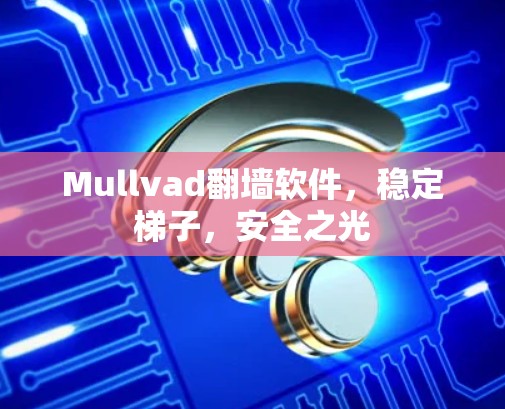 Mullvad<strong>翻墙</strong>软件，稳定梯子，安全之光