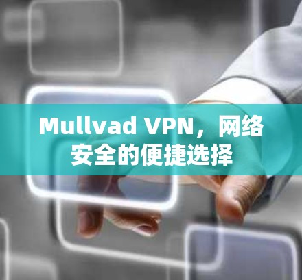 Mullvad VPN,网络安全的便捷选择 Mullvad VPN,网络安全的便捷选择