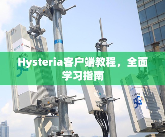 Hysteria客户端教程,全面学习指南 Hysteria客户端教程,全面学习指南