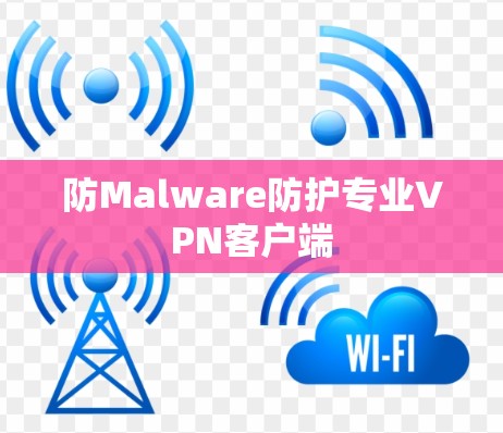 防Malware防护专业VPN客户端 防Malware防护专业VPN客户端